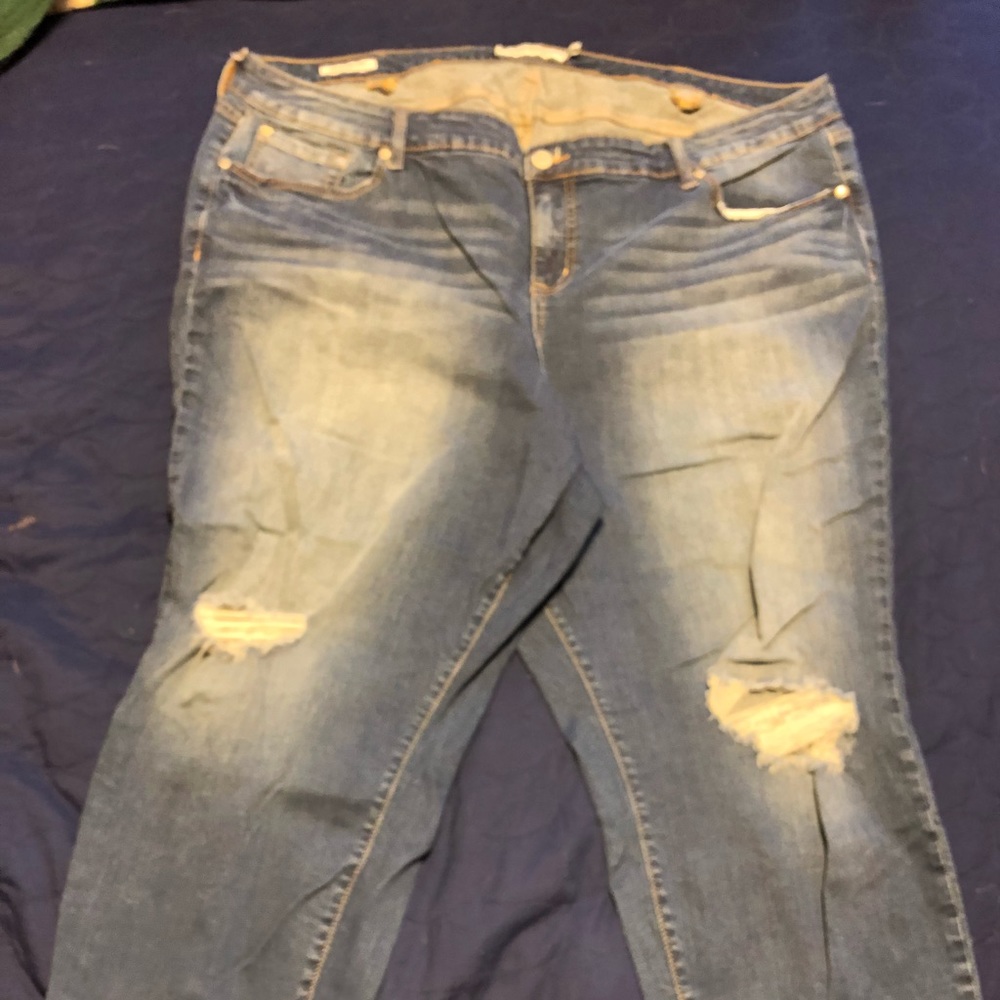 Torrid capris